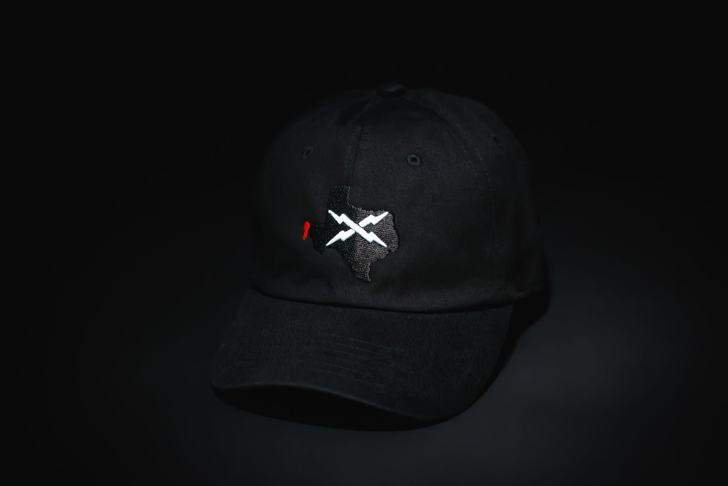 TEXAS DAD HAT