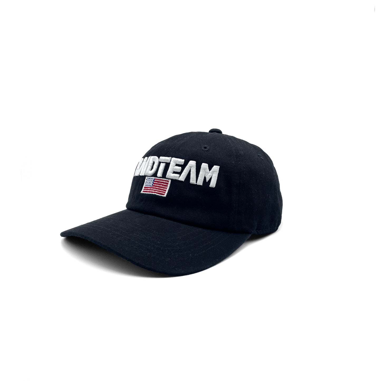 Raid USA Dad Hat