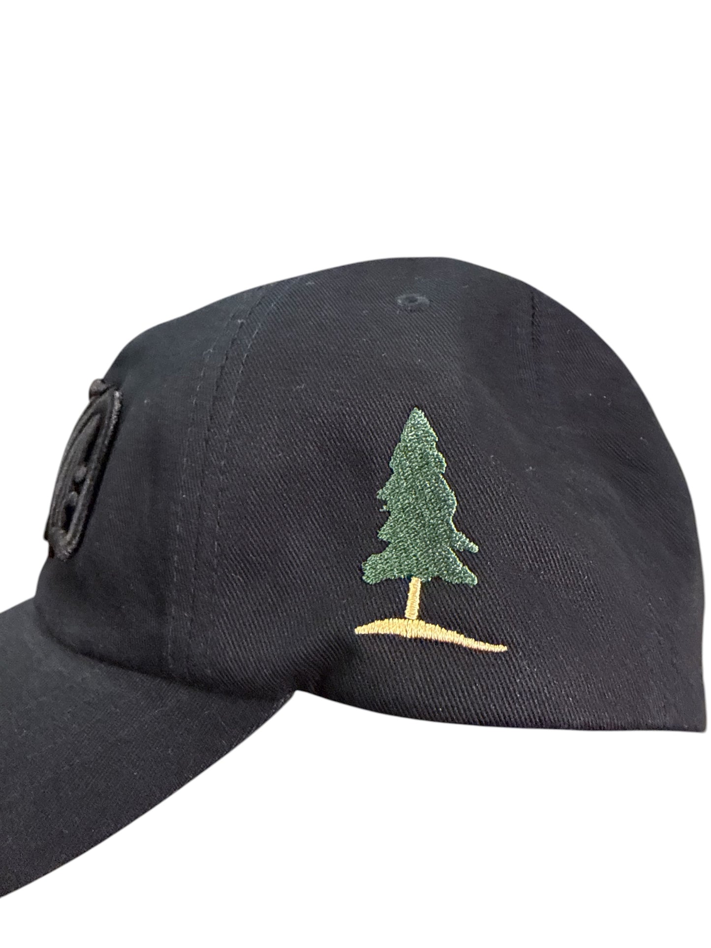 RAID PUFF DAD HAT
