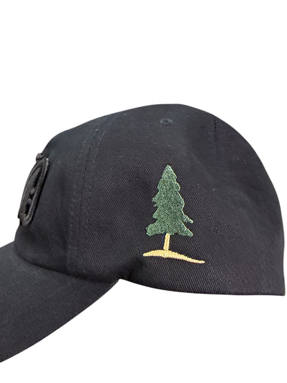 RAID PUFF DAD HAT