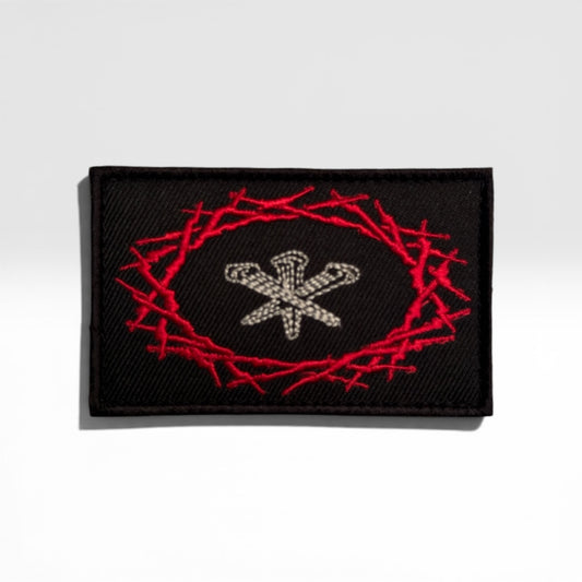 Raid of thorns patch
